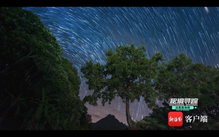 精彩乒乓球赛