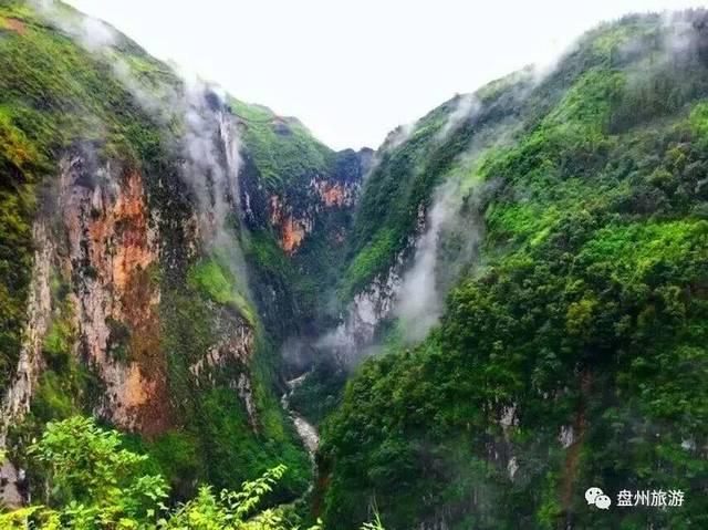 尹铭新去向，出任阳光信保临时负责人